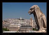 Notre Dame 010